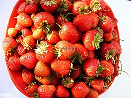 自然,水果,蔬菜
