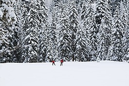 雪,冬天,山
