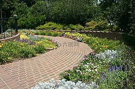 走道,走,公園
