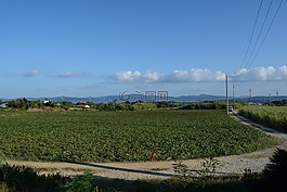 天空,云,字段