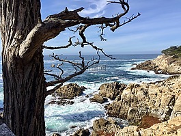 海灘,巖,海