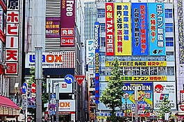日本,東京,體系結(jié)構(gòu)