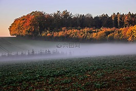 秋季景觀,樹木,秋天的葉子