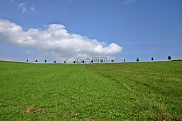 希爾,樹(shù)木,景觀