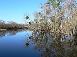 河,水,湖