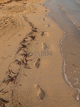足跡,海灘,海