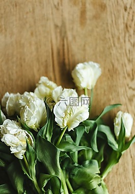 白,花瓣,花