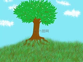樹,景觀,性質(zhì)