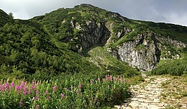 冬奧會,山,波蘭