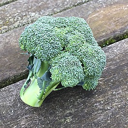 西蘭花,綠色蔬菜,綠色