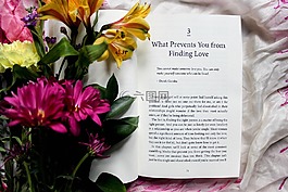 鮮花,書,頁面