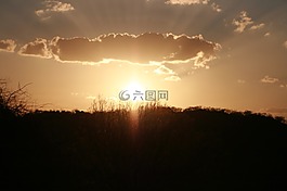 溶膠,日落,sertao