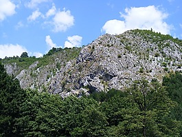 山,自然,樹