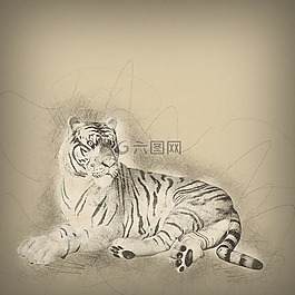 虎,大貓,貓
