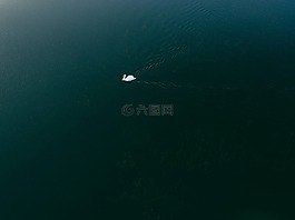 自然,空氣,天鵝