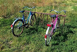 自行車,架,草