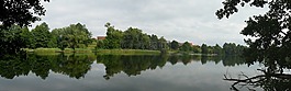 夏天,水,森林