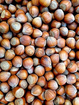榛子,堅果,食品
