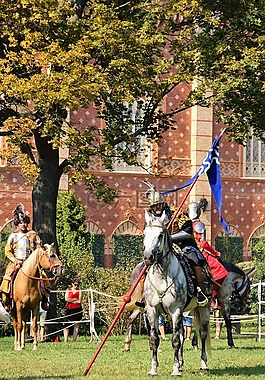 sommerfest,騎士,騎士的城堡