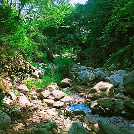 山,大自然,谷