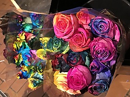 玫瑰,彩虹,花束