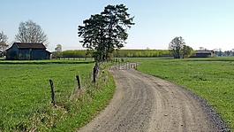 道路,巷,離