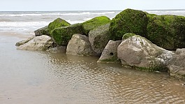 岸,海,海灘