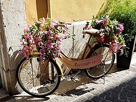 自行車(chē),鮮花,意大利