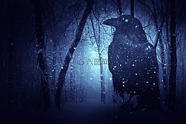 烏鴉,森林,黑