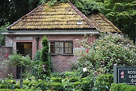 建設(shè),磚,屋頂