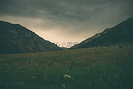 景觀,山,草