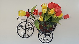 花園,鮮花,春