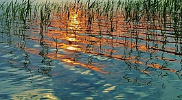 夏天,日落,湖