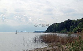 蘆葦,湖,銀行