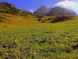 普拉托,山,綠色
