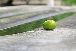 照片,圖像,水果