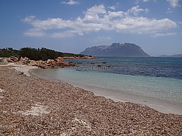 海,海灘,夏季