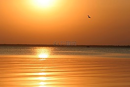 黎明,海,天空