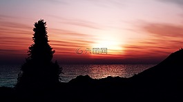 日落,海,樹