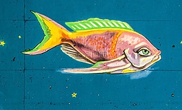 涂鴉,魚,海