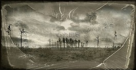 窗口,樹(shù),破解