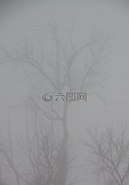 冷,霧,薄霧