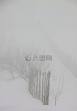 冷,霧,薄霧