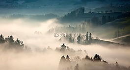 山,高原,樹