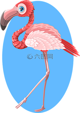 火烈鳥(niǎo),動(dòng)物,動(dòng)物園