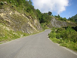 路,景觀,路徑