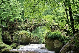 橋,河,mullerthal的
