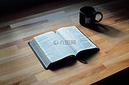 書,圣經(jīng),老