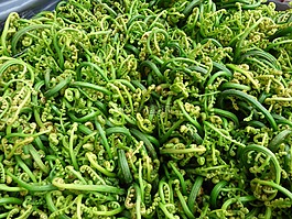 食品,fiddleheads,市场