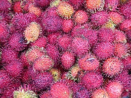 市场,植物,rabuntan